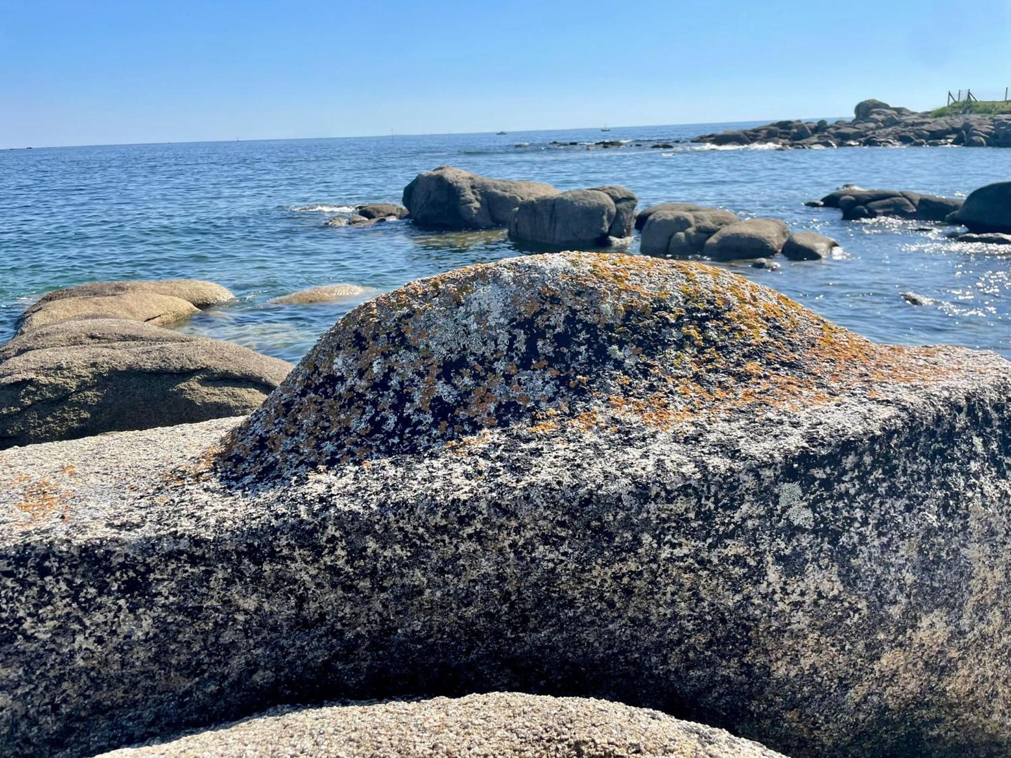 2 Maisons De Vacances Sittelles Lodge Concarneau Dış mekan fotoğraf