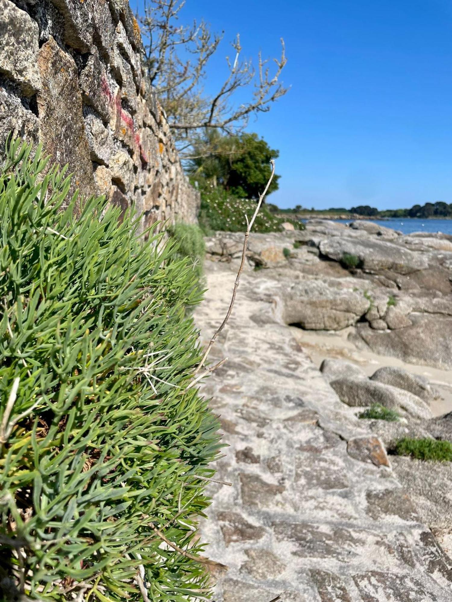 2 Maisons De Vacances Sittelles Lodge Concarneau Dış mekan fotoğraf